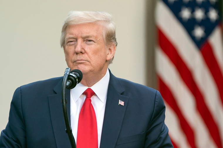 780131_Donalyd_Tramp_stock_Donalyd_Tramp__stock_250x0_1620