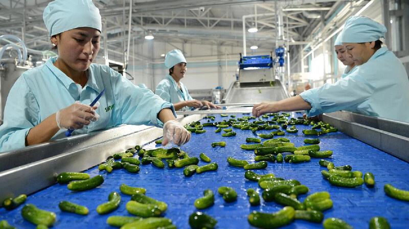 arbatmedia-v-kyrgyzstane-otkryty-okolo-450-filialov-kompanii-iz-rossii-947-800x448