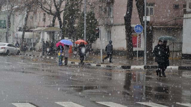 b1a39a8443319123de1f6