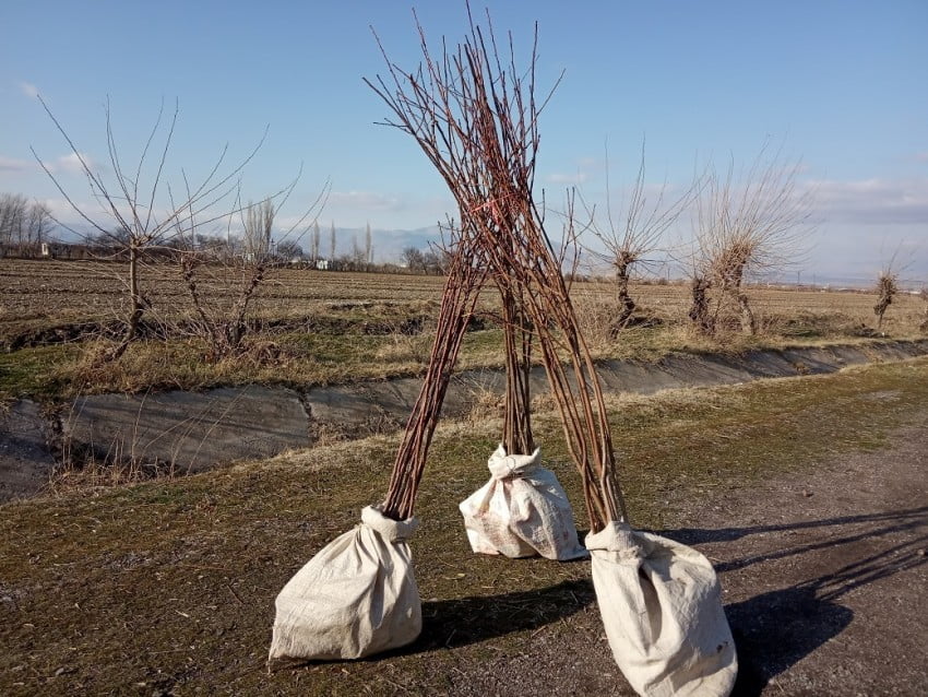 e424e160c3729de35fbaffa663e6b046