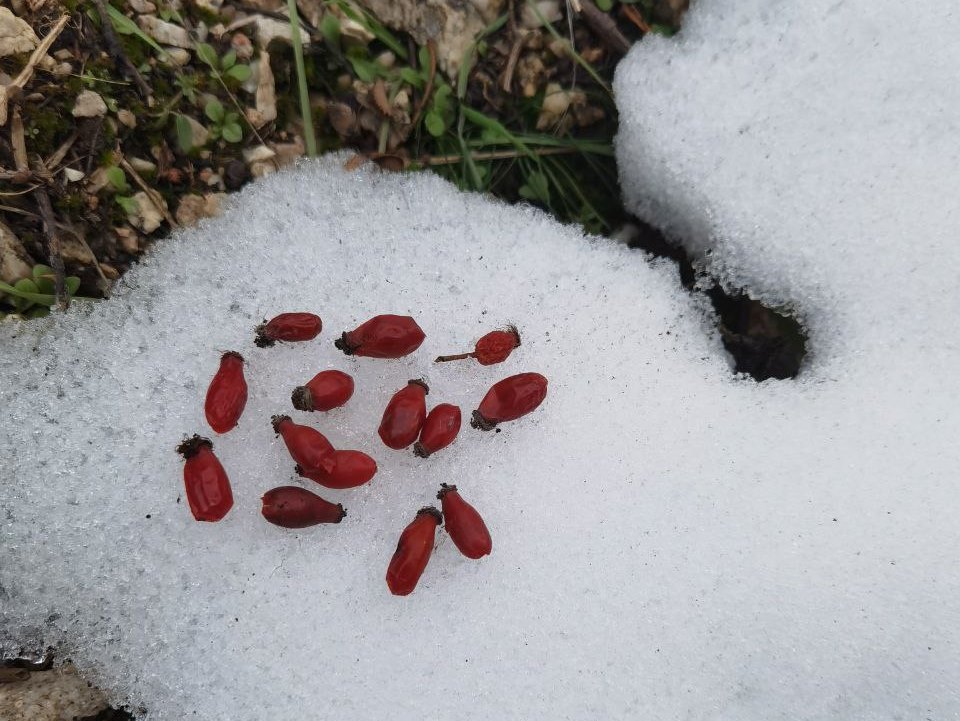 photo_2023-01-29_17-50-41