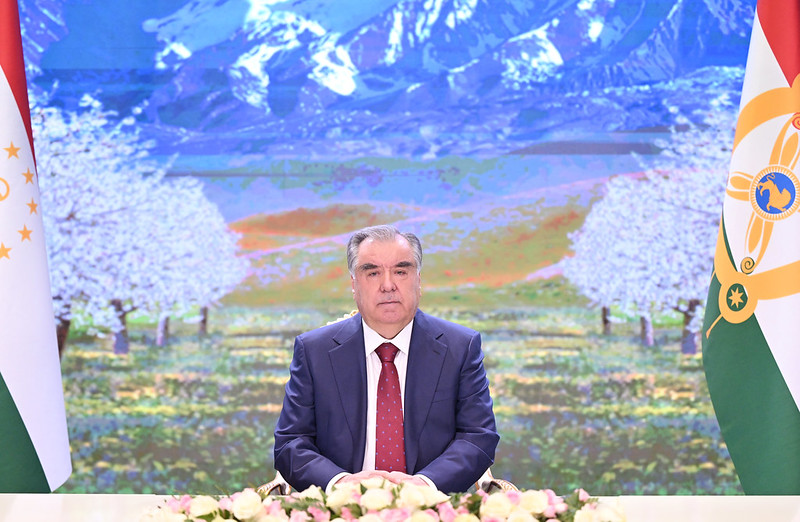 53572806960_b3b52c1c1c_c