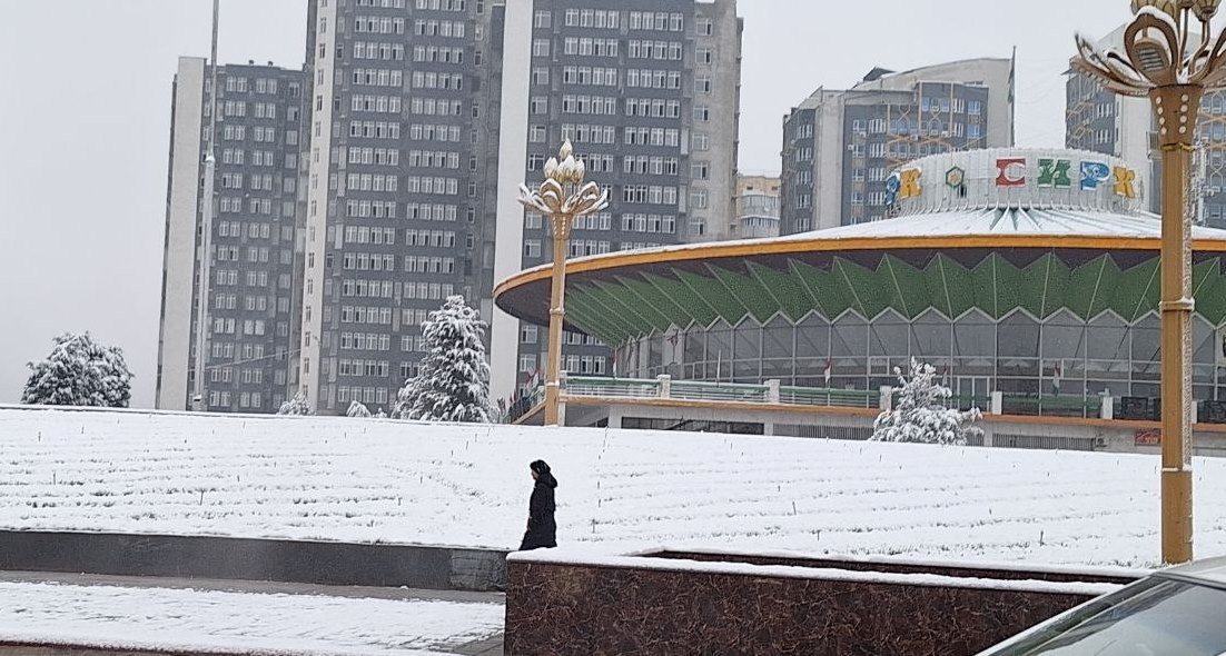 photo_2024-03-05_12-58-57