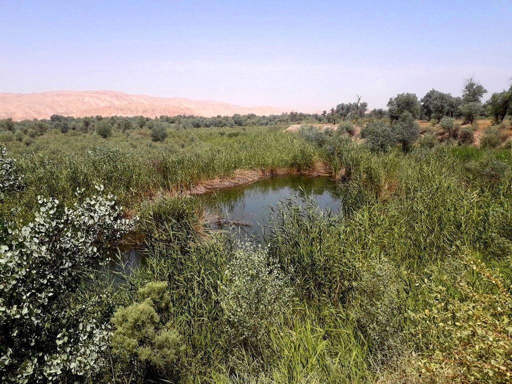 photo_2024-03-07_14-31-47