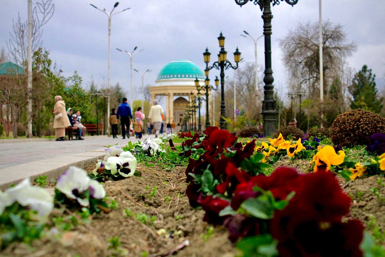 photo_2024-03-21_11-27-06