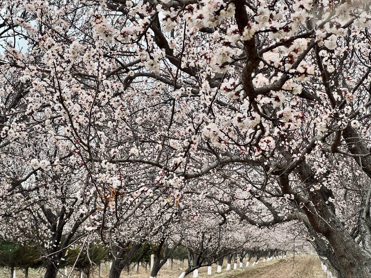 photo_2024-03-22_15-36-03