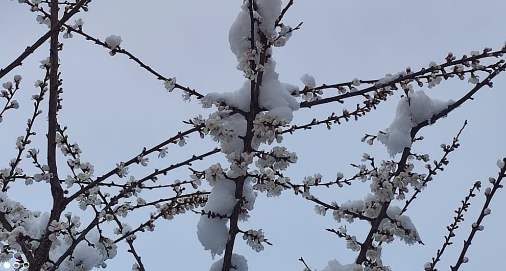 photo_2024-03-30_09-54-07