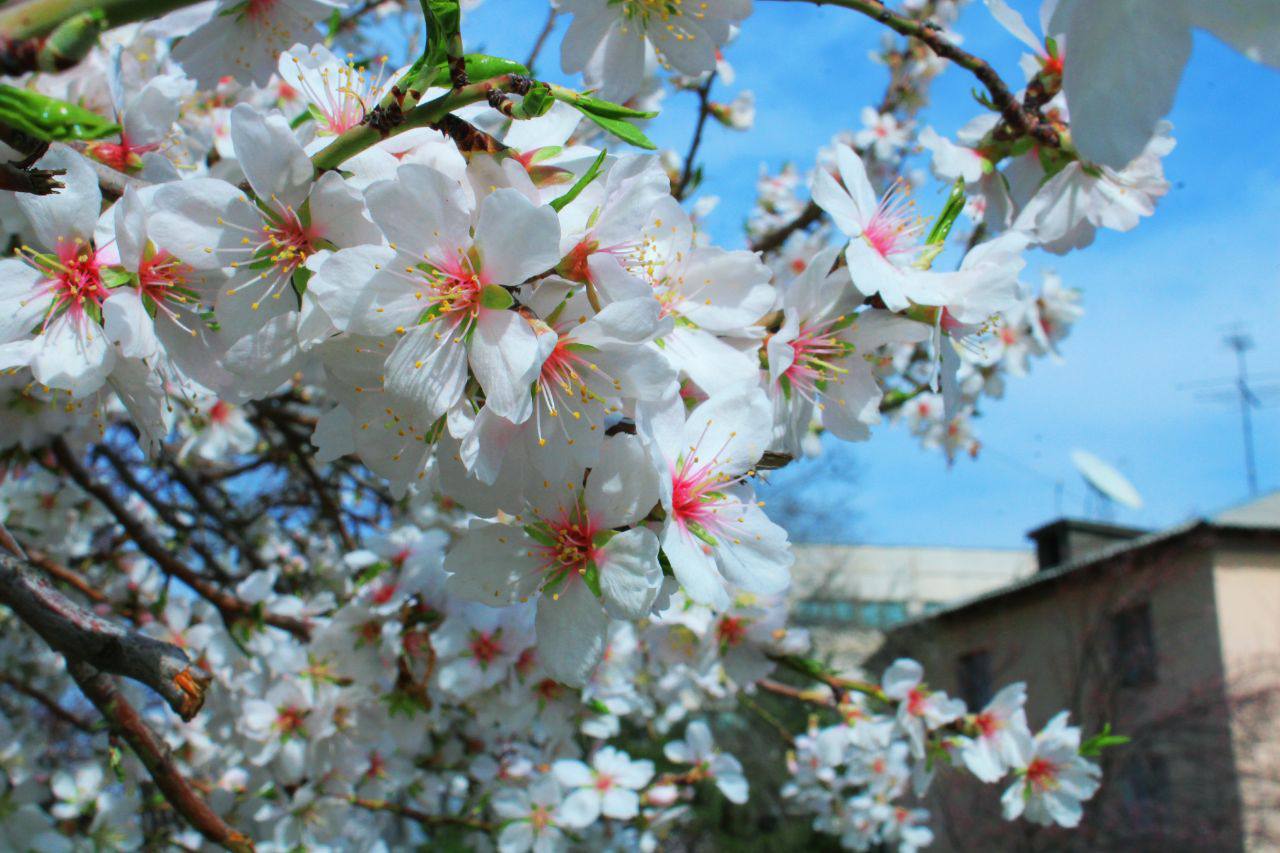 photo_2024-03-21_10-46-15