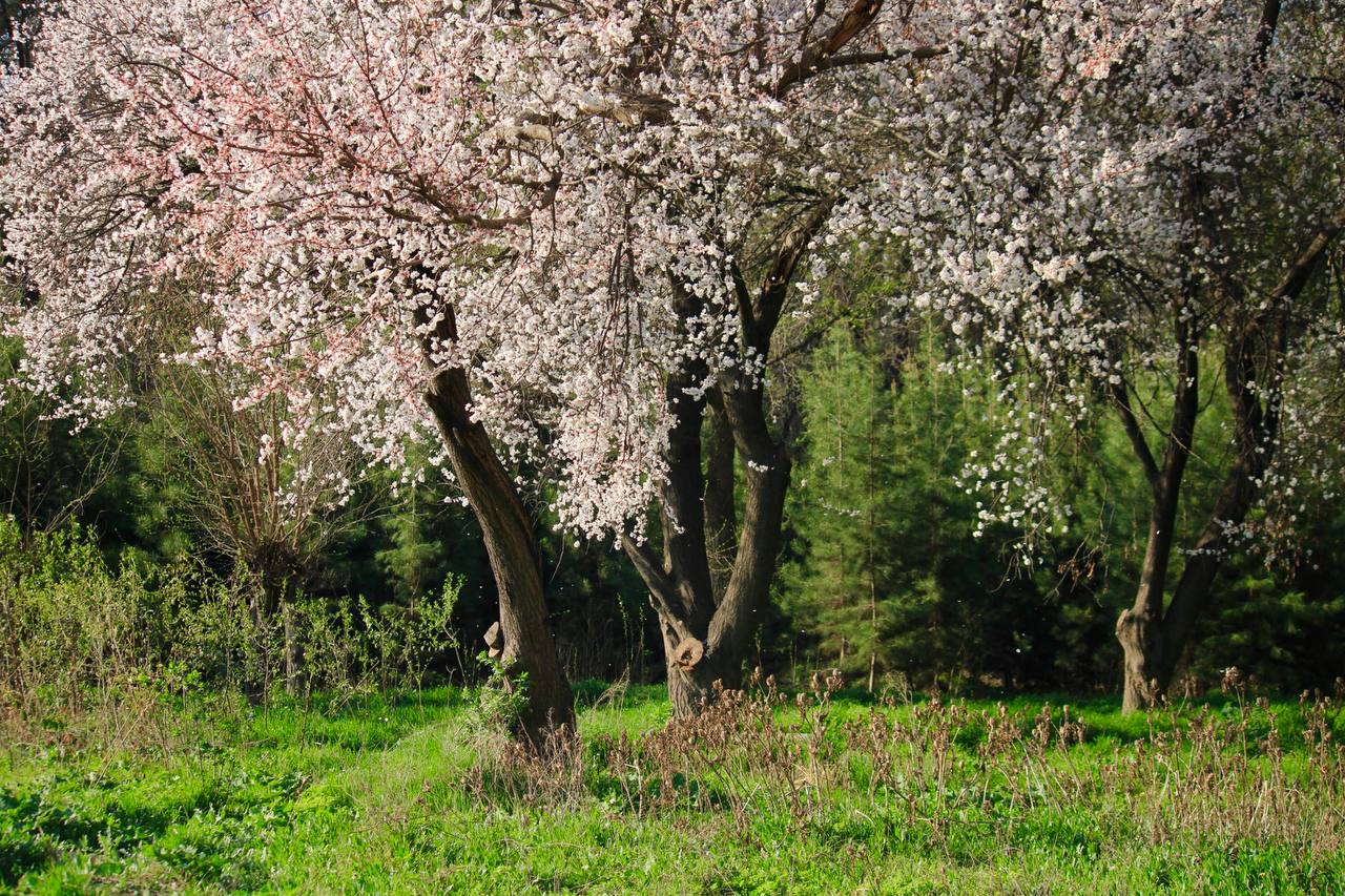 photo_2024-03-28_09-51-49