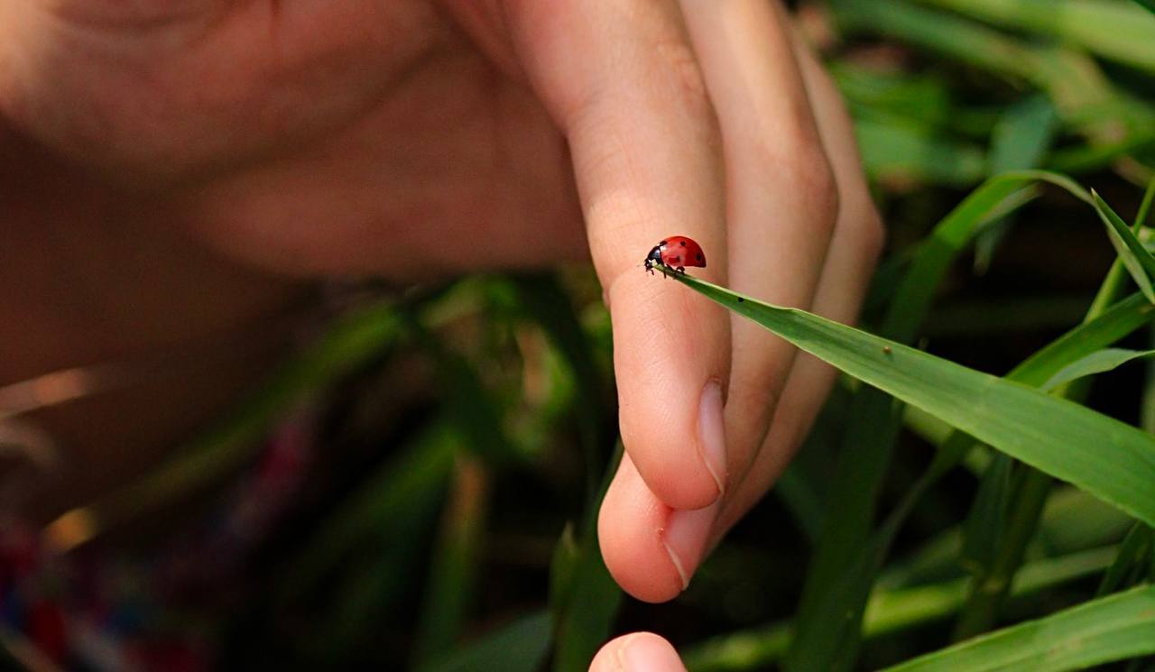 photo_2024-03-28_10-06-48