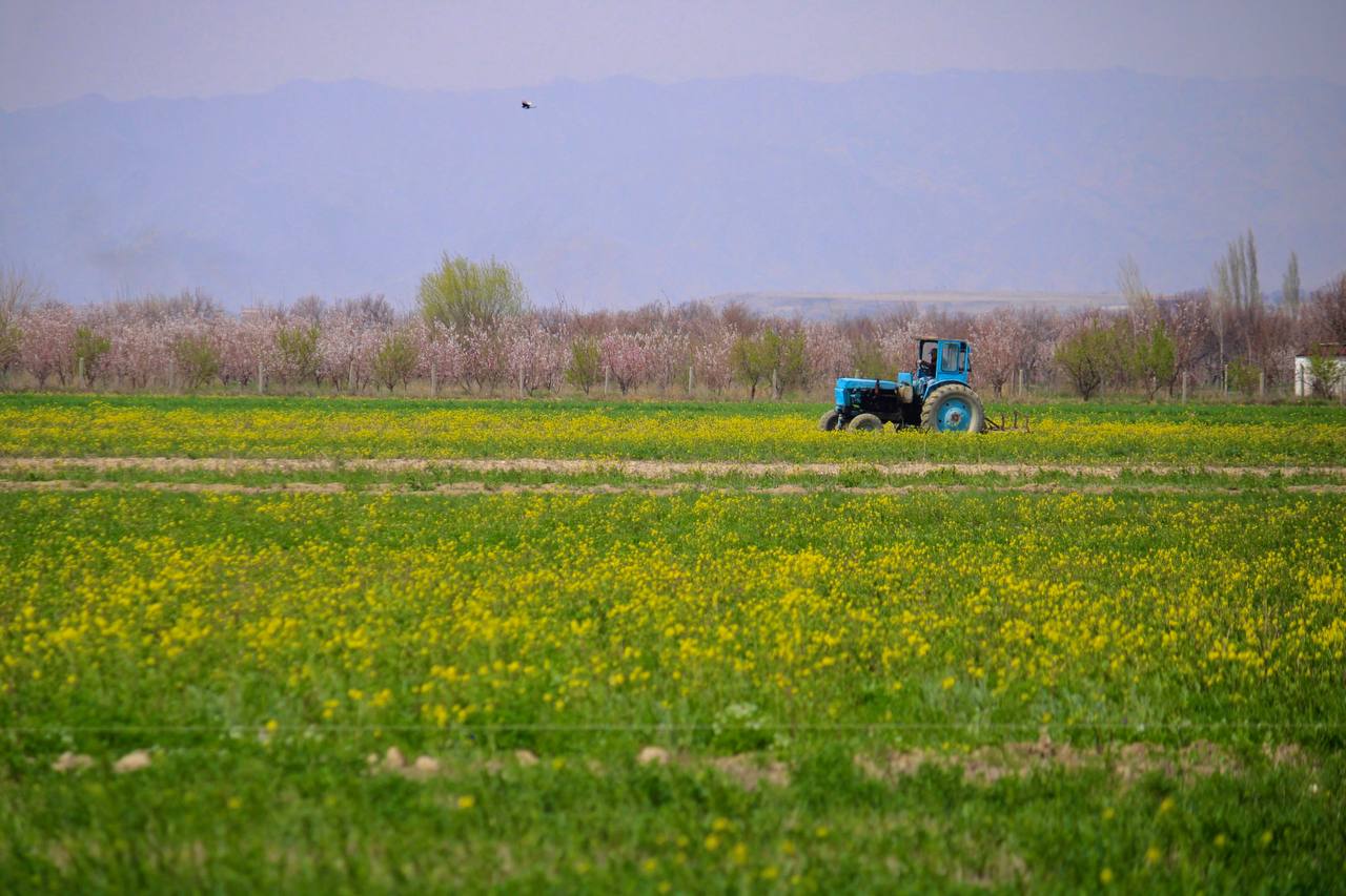 photo_2024-04-01_20-42-11