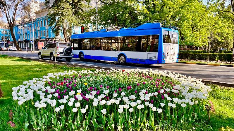 photo_2024-04-08_09-54-05