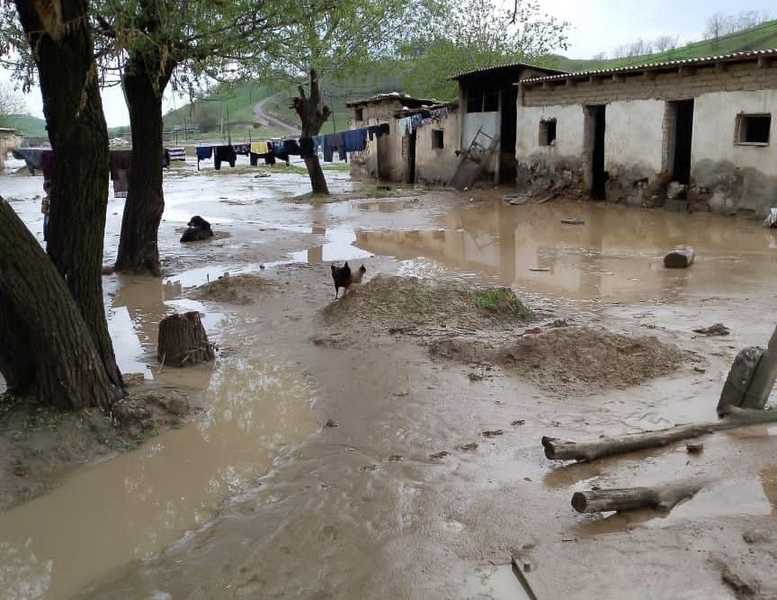 photo_2024-04-23_11-16-30