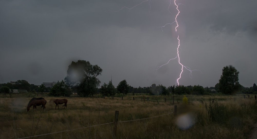 photo_2024-04-25_11-08-01
