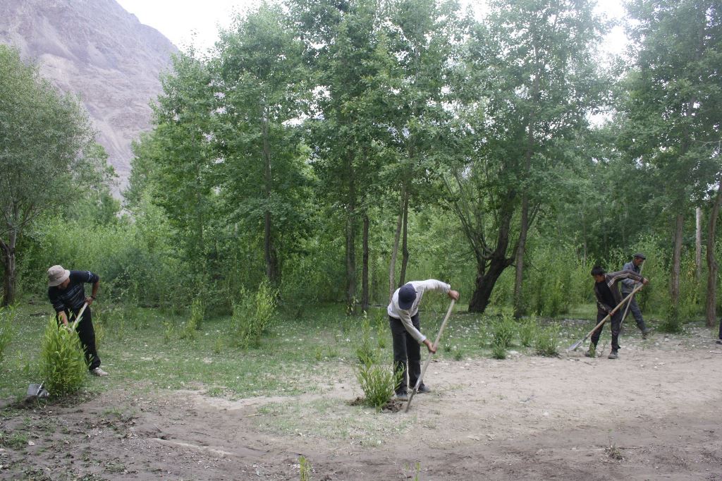 Vosstanovitelnye-raboty-v-lesu