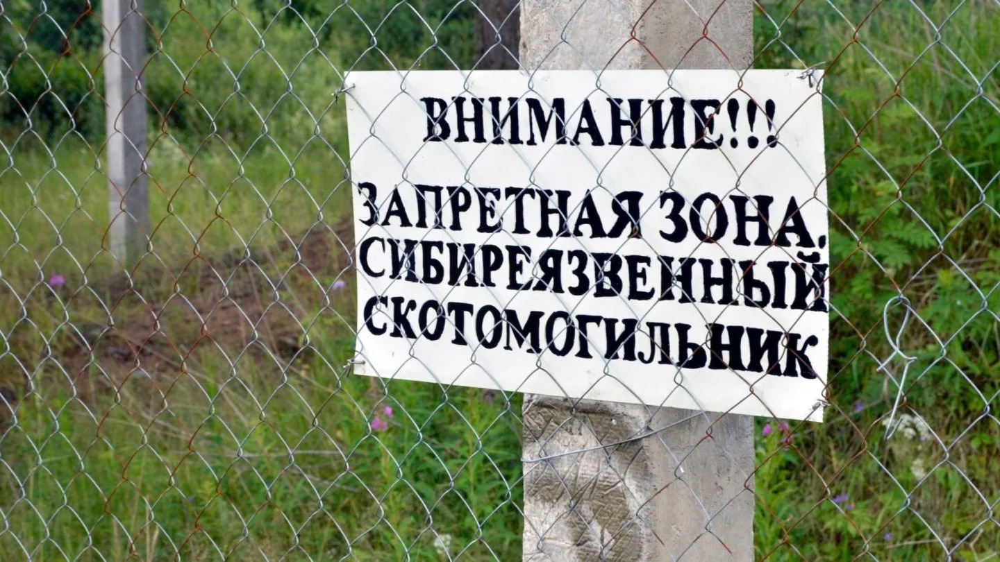 WhatsApp-Image-2024-04-08-at-16