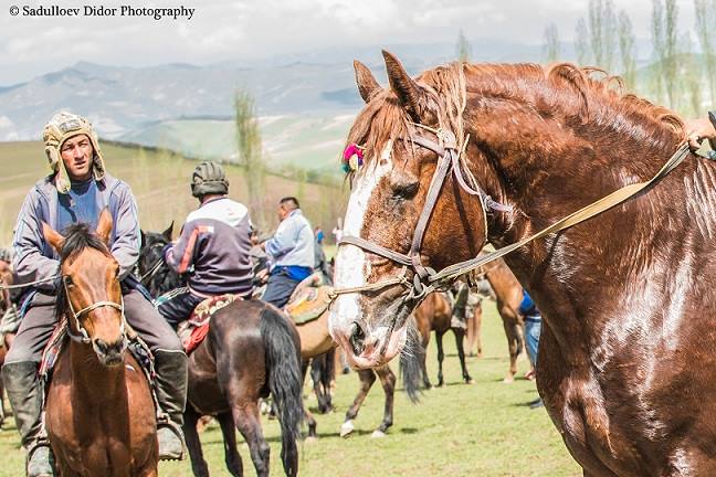 13006571_906743099454560_511112957013016837_n