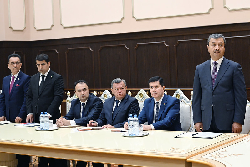 53701166237_2c271c3fa7_c