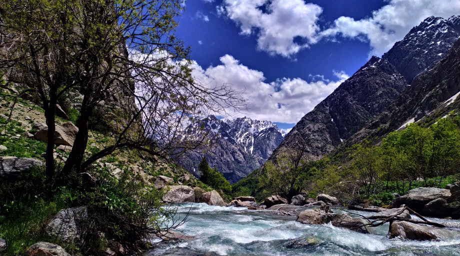 8b32511d77f52828201573b39f2127dd7f7ad7fc54402bf4ba1aaa27daa16a50