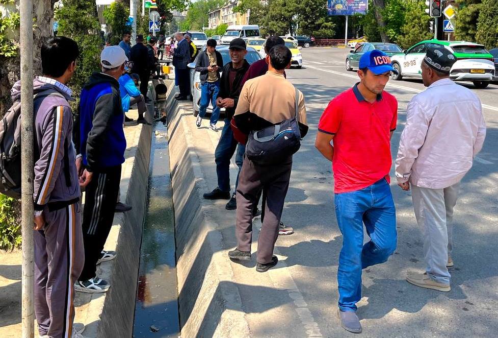 photo_2024-04-24_11-51-56