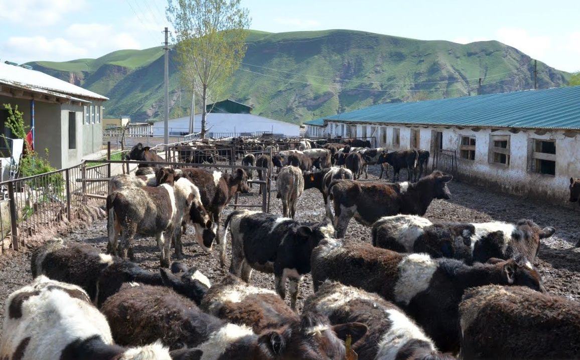 photo_2024-05-01_16-00-25