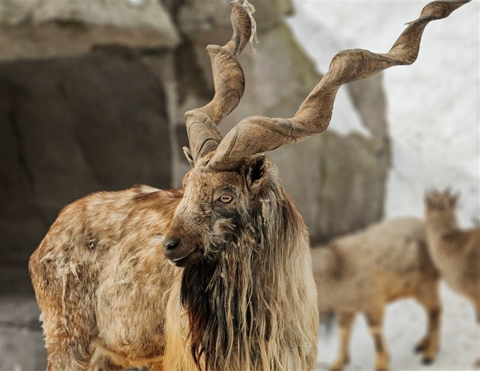 photo_2024-05-06_14-40-34