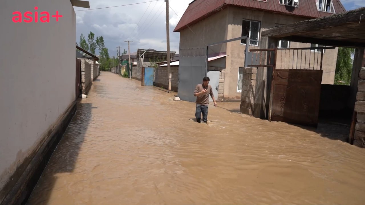photo_2024-05-14_16-36-54