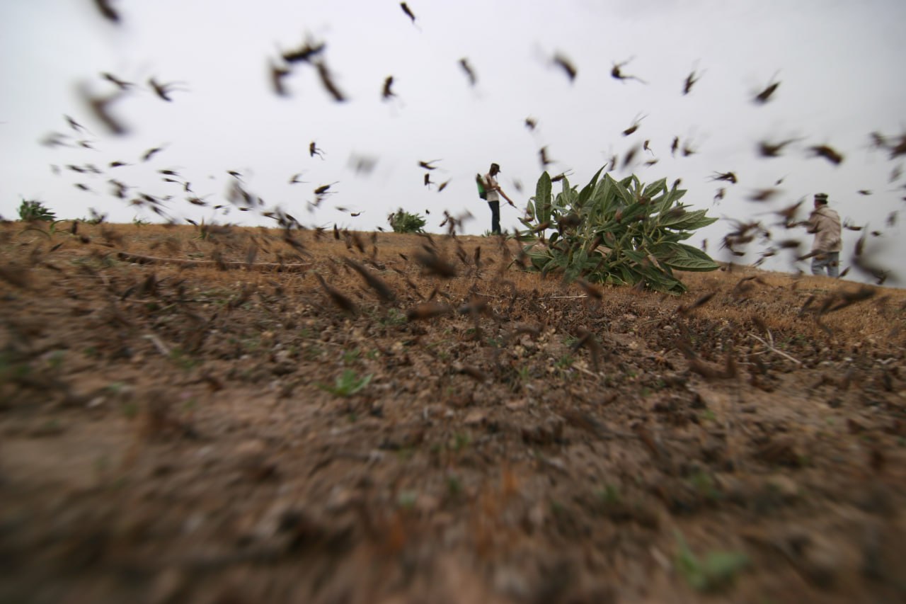 photo_2024-05-27_10-01-05