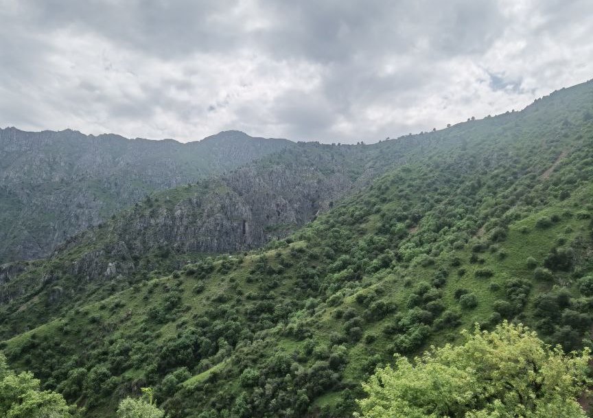 photo_2024-05-27_11-31-50