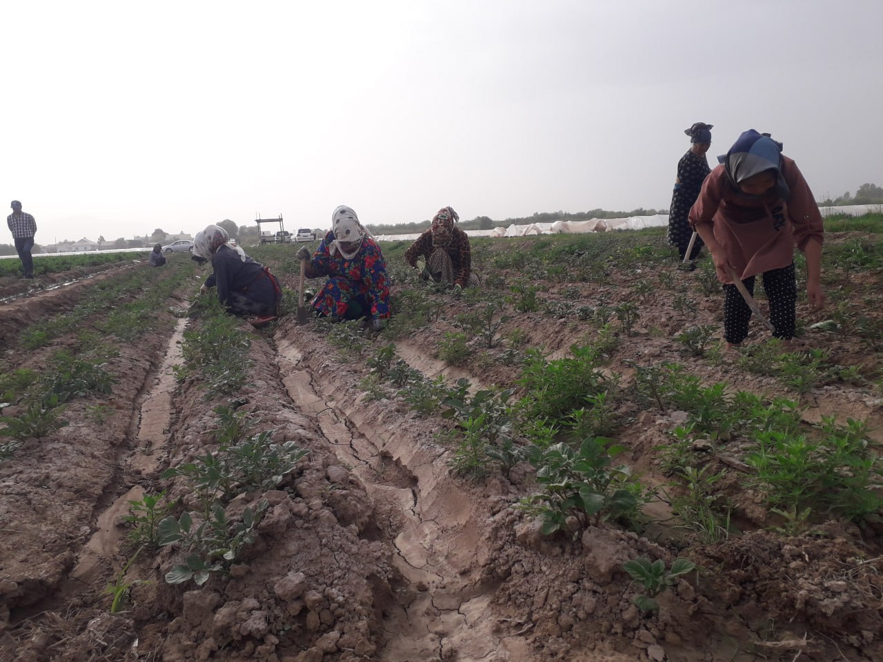 photo_2024-05-27_19-03-14