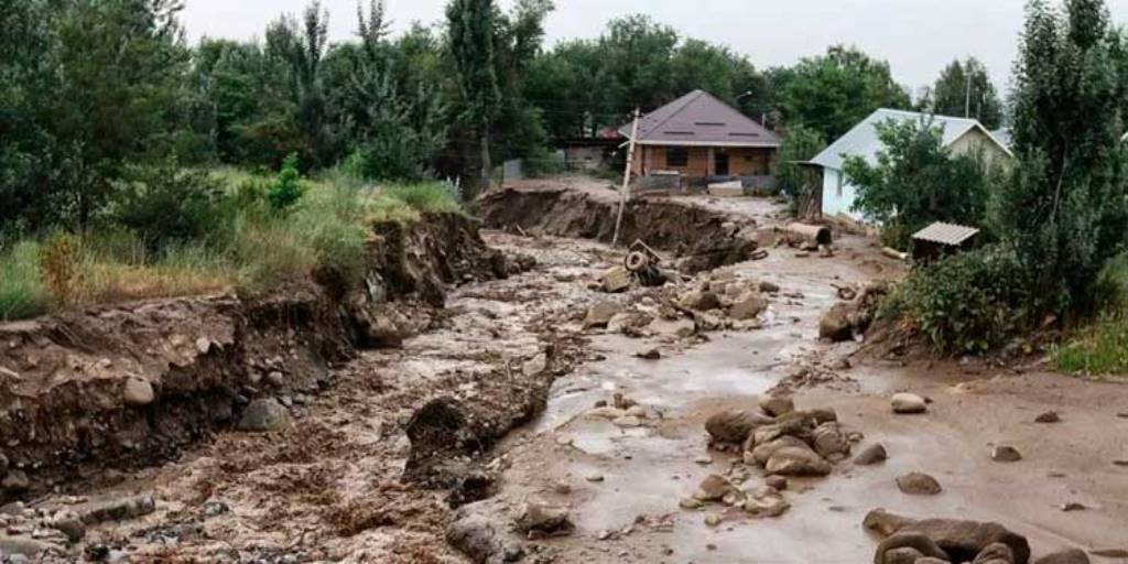 photo_2024-05-29_11-18-21