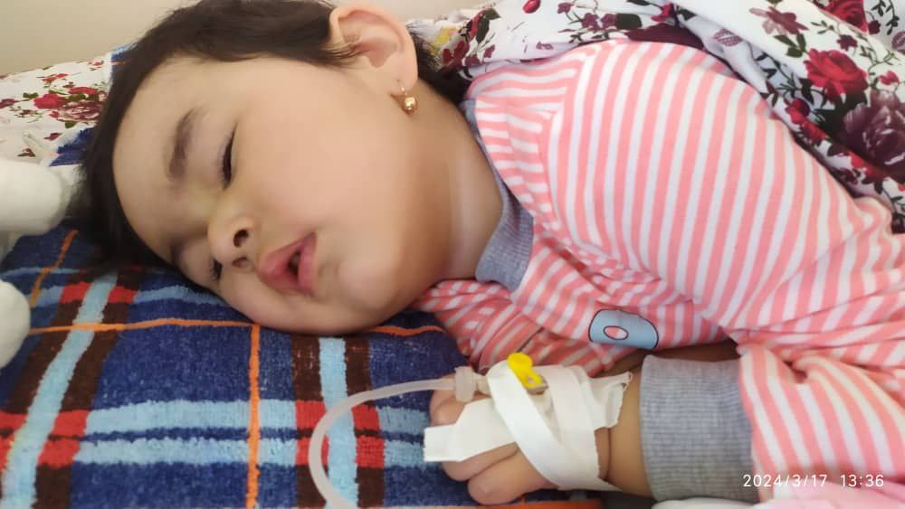 photo_2024-05-30_14-53-31