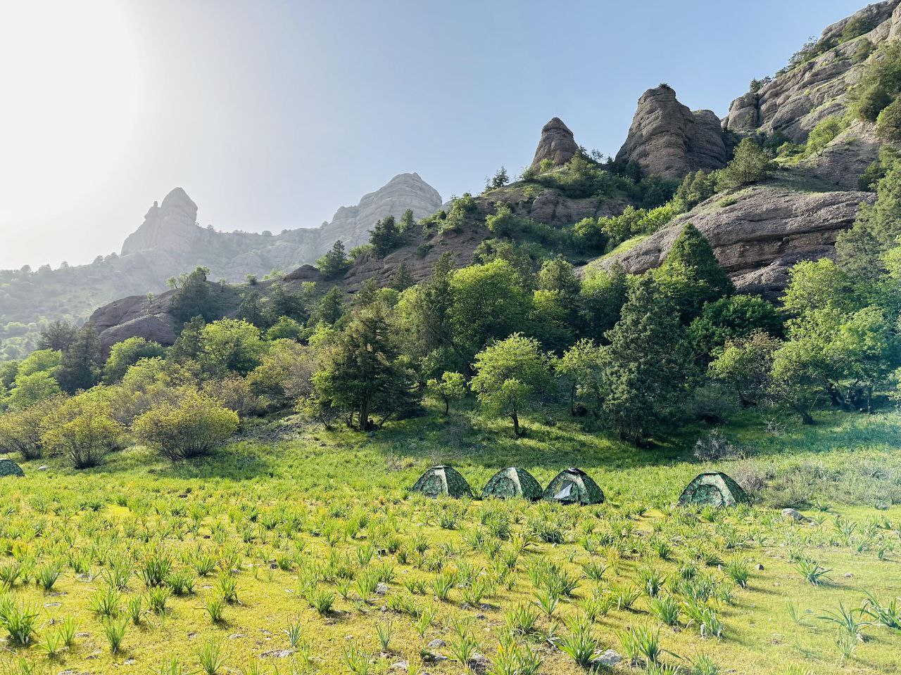 photo_2024-05-31_17-04-06