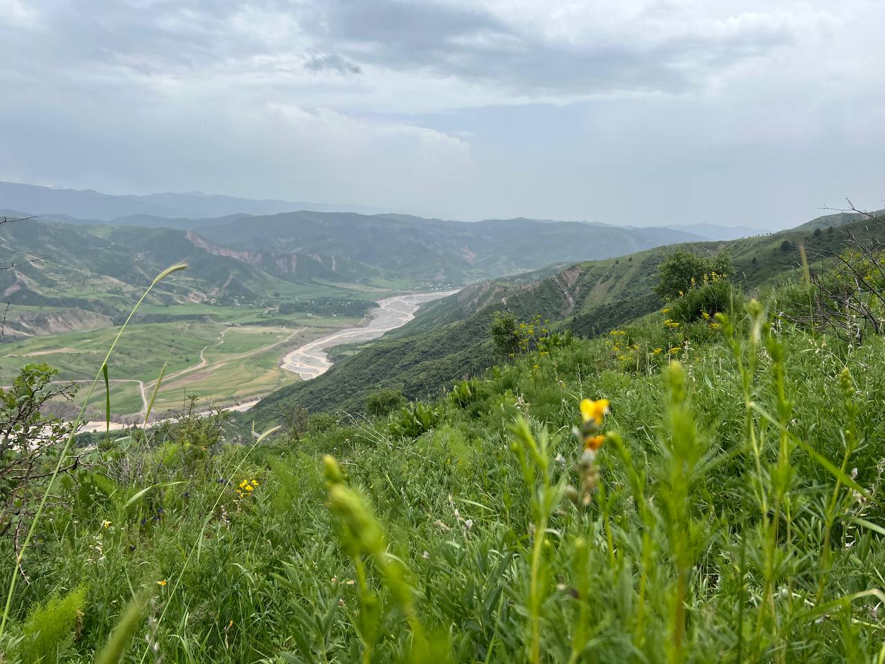 photo_2023-05-15_18-10-21