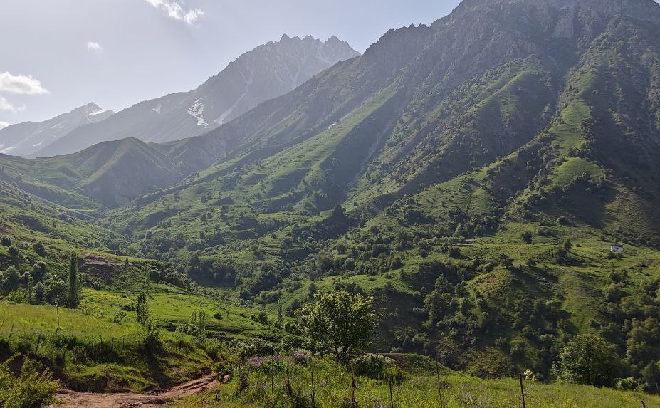 photo_2023-05-29_23-34-36