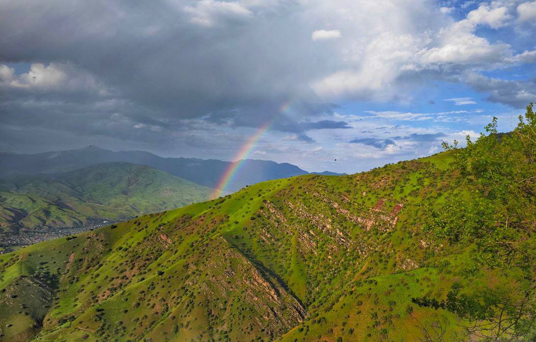 photo_2024-05-24_07-00-35