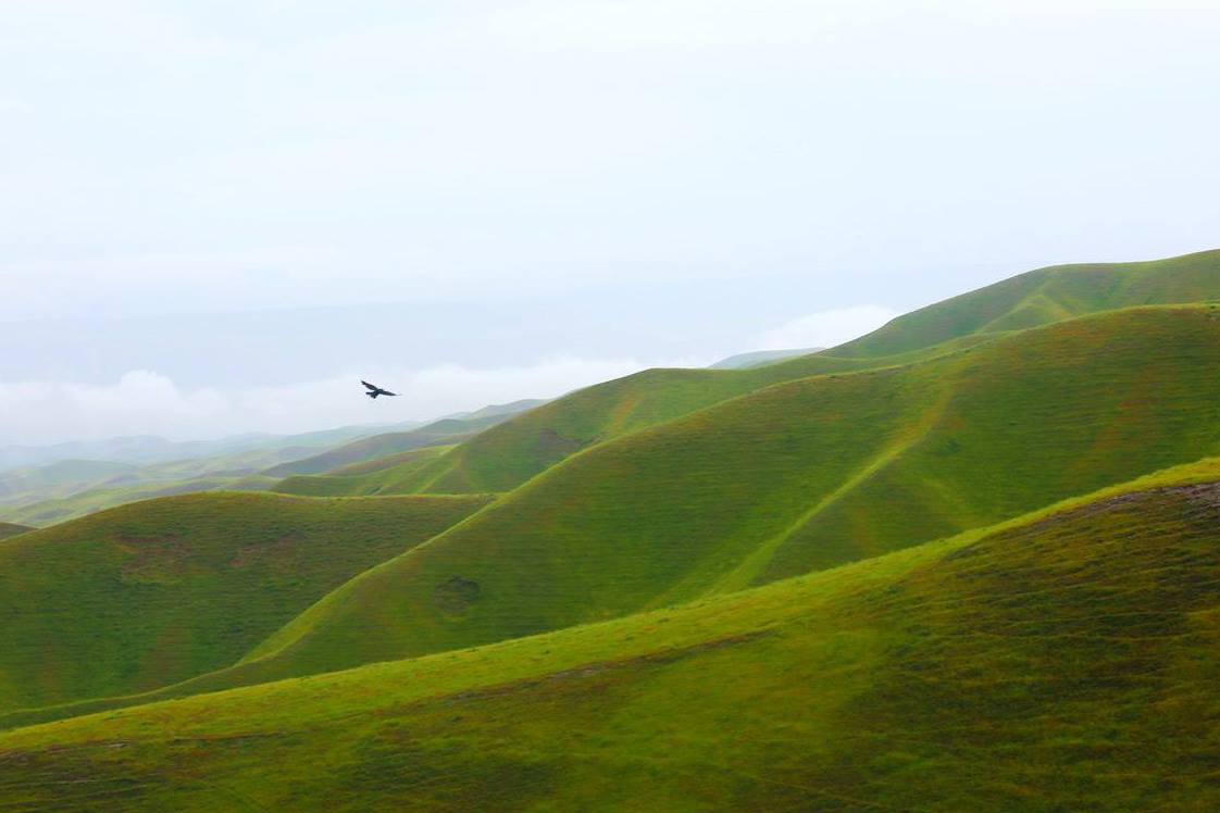 photo_2024-06-01_07-00-10