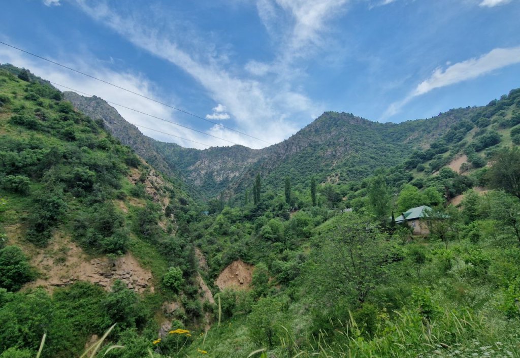 photo_2024-06-09_18-59-03