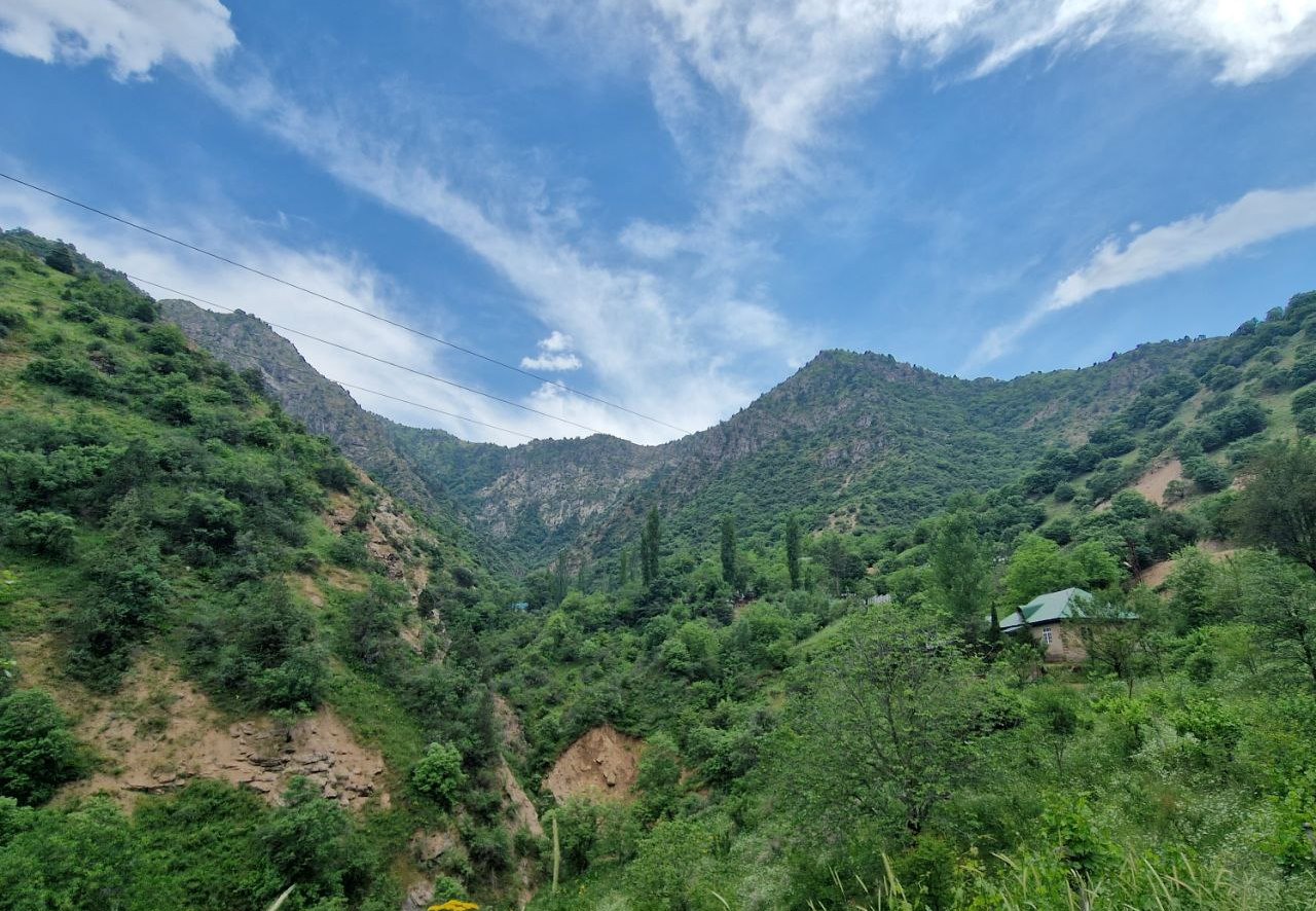 photo_2024-06-09_19-03-41