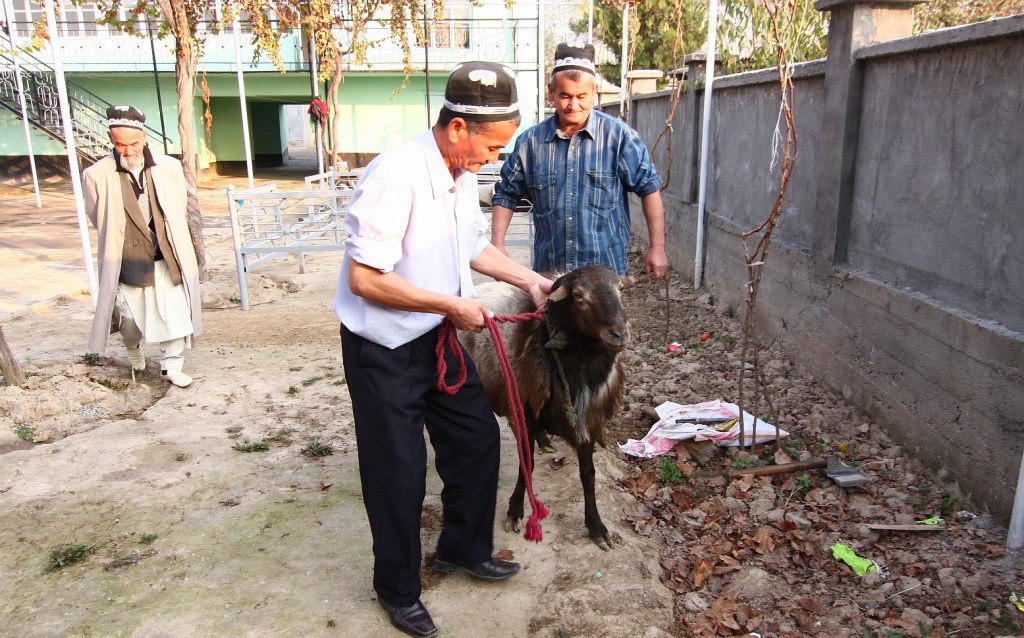photo_2024-06-14_10-50-16