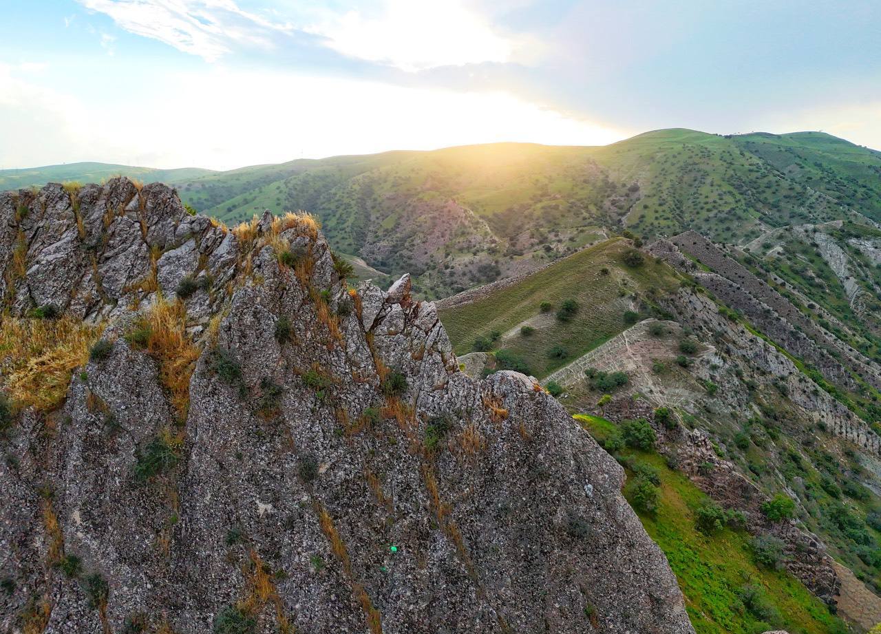 photo_2024-06-18_07-00-10