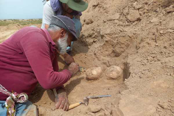 photo_2024-06-18_14-28-56-2