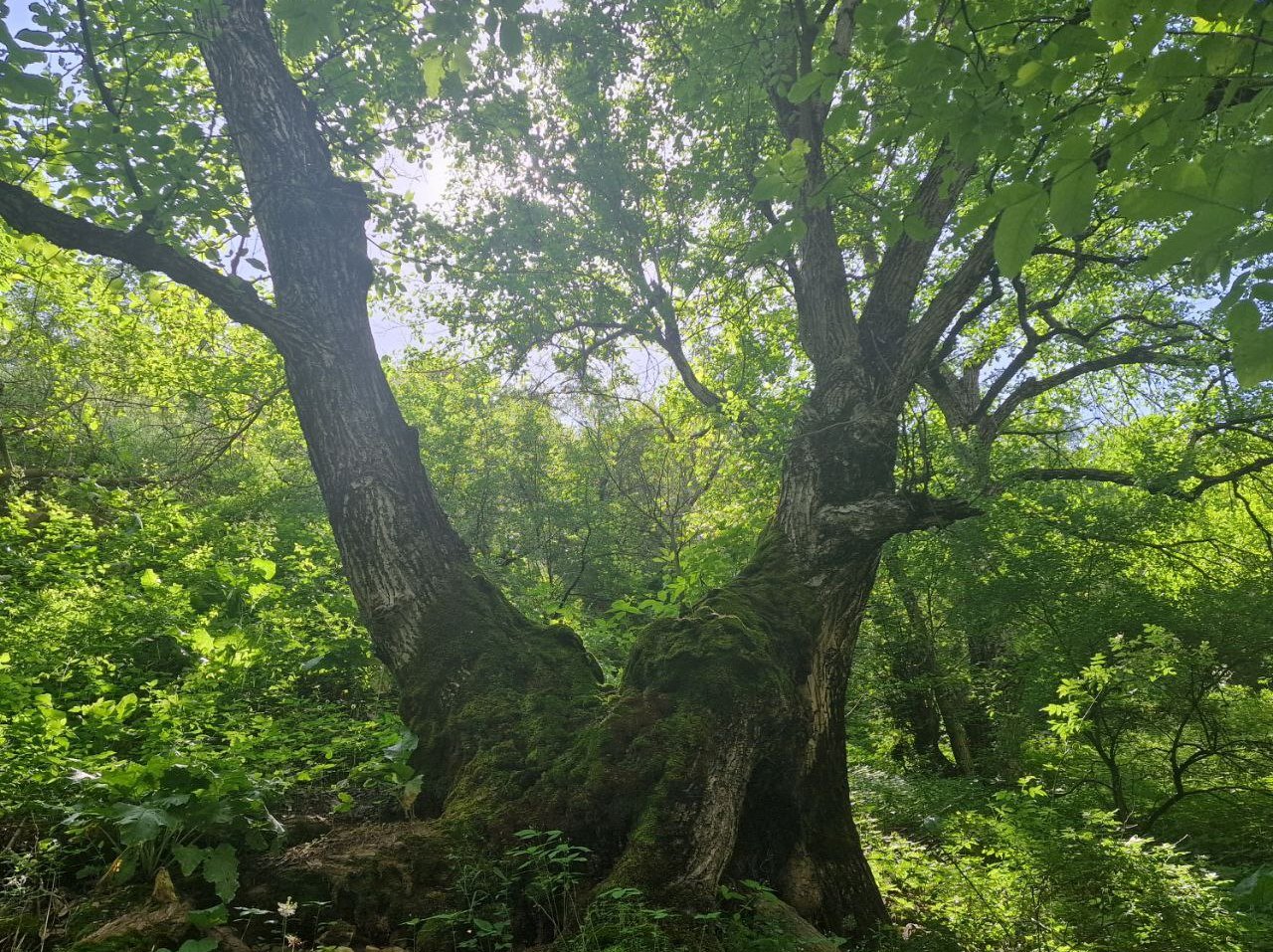 photo_2024-06-19_10-10-30