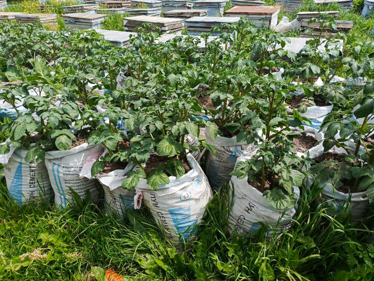 photo_2024-06-21_10-07-07