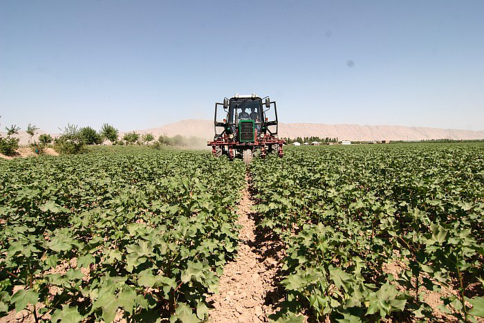 photo_2024-06-26_14-10-51