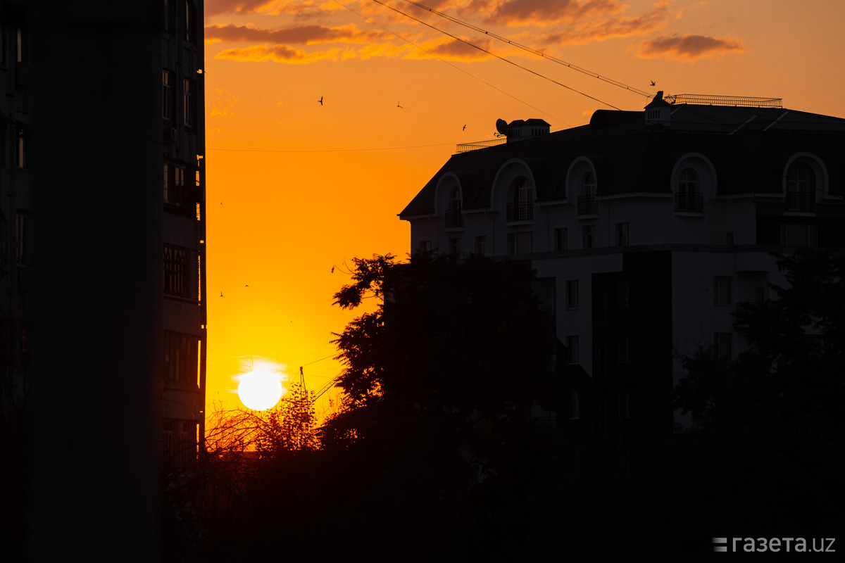 VF1A2716246150678668_l