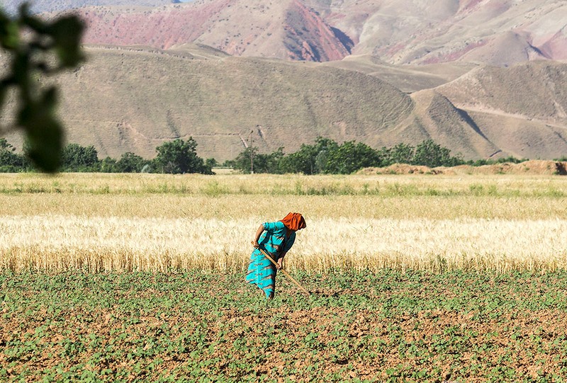 001_0_a104d_481a4852_orig