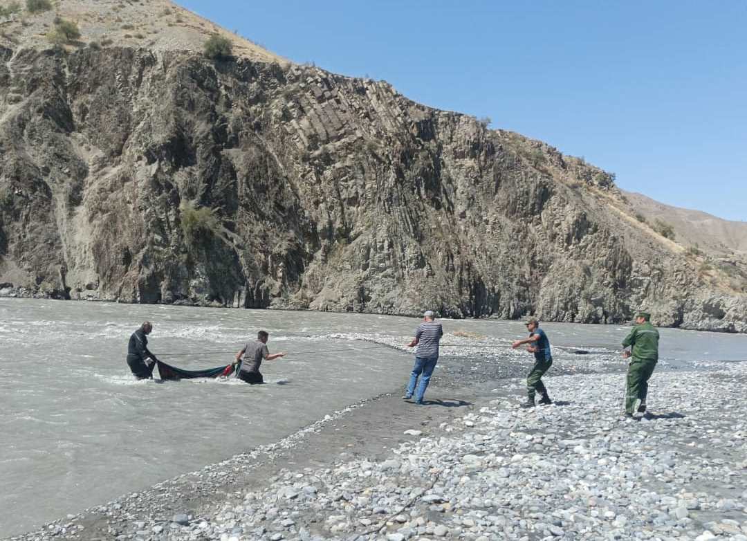 0b11bb8e-86d3-44c1-aab9-1bb15562a487