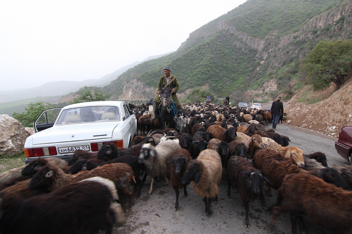 photo_2024-07-01_13-03-49