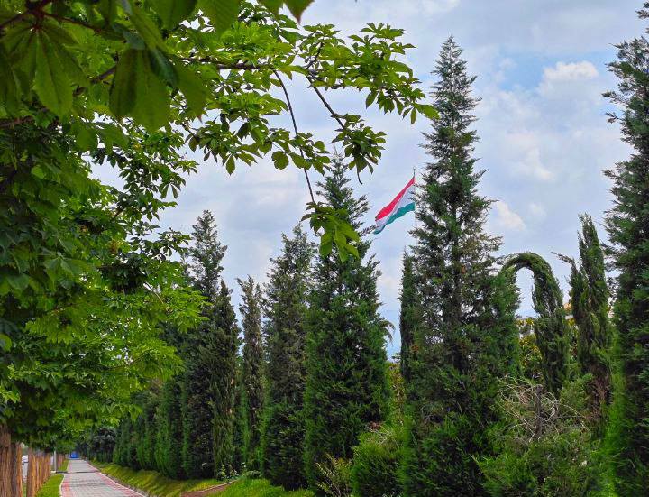 photo_2024-07-02_14-24-12